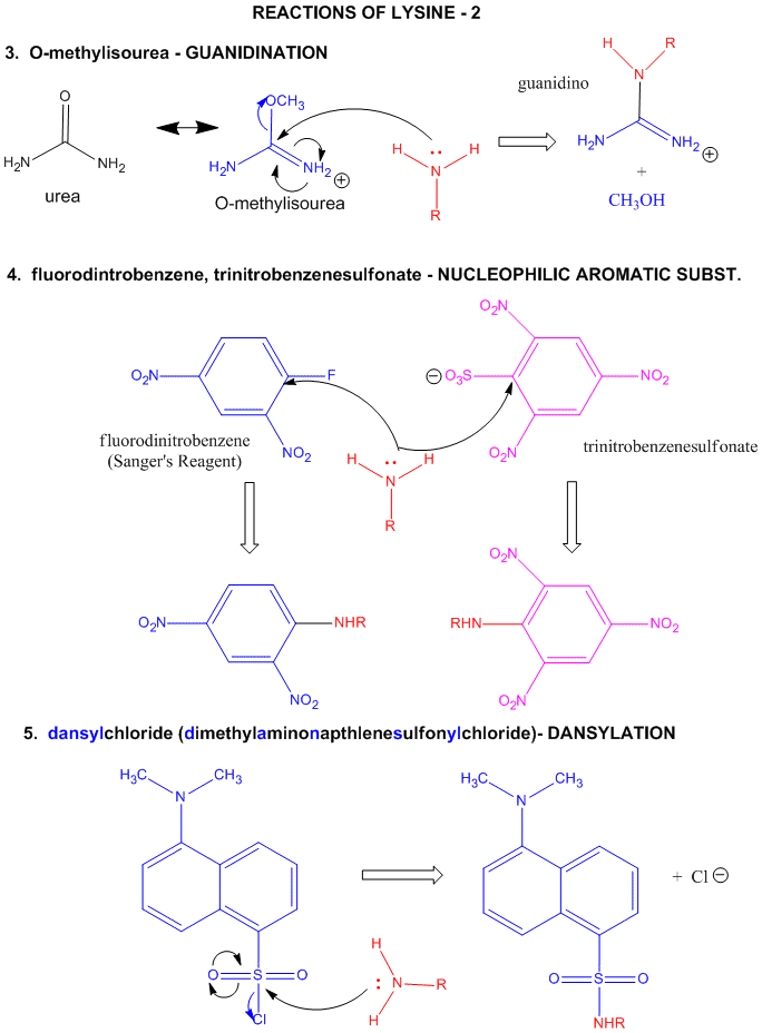 Лизин HCL реакция. Лизин плюс HCL. Лизин плюс щелочь. Лизин с соляной кислотой.