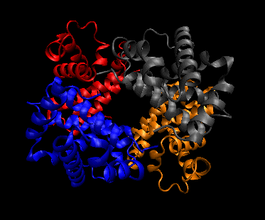 quaternary structure of proteins