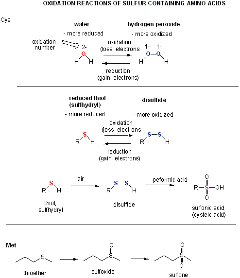 redox examples reactions chemistry of of A6. Cysteine Reactions