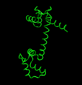 animate secondary structure vmd