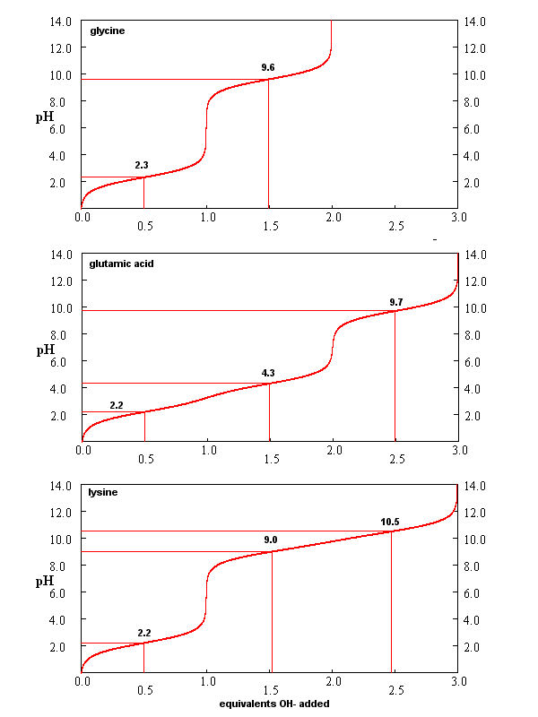 titration curve amino acid