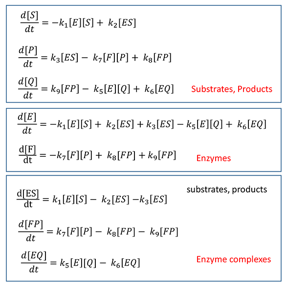 Prod vs Time - product inhibition in two-enzyme pathway - math eq