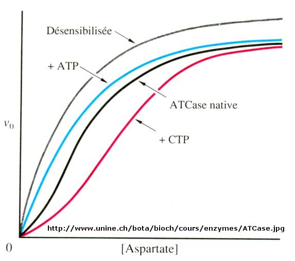 allosteric inhibition graph