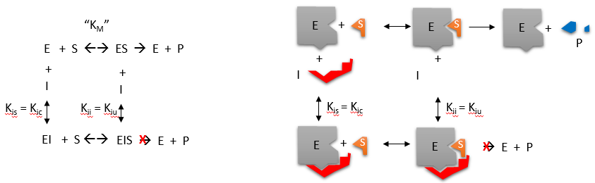 mixed inhibition graph