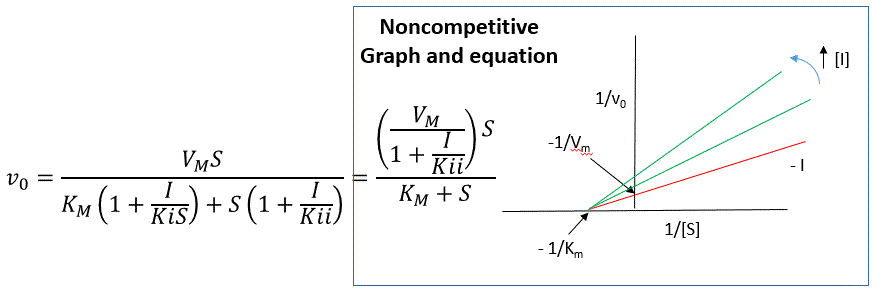 uncompetitive inhibition